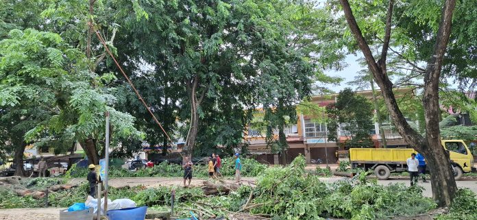 Dalam mengurai kemacetan di Simpang Cikitsu, Kota Batam, Provinsi Kepulauan Riau (Kepri) Pemerintah Kota (Pemko) dan Badan Pengusahaan (BP) Batam melakukan penebangan pohon. Dampak adanya pekerjaan ini, arus lalu lintas juga tampak dialihkan. (Roma Uly Sianturi)