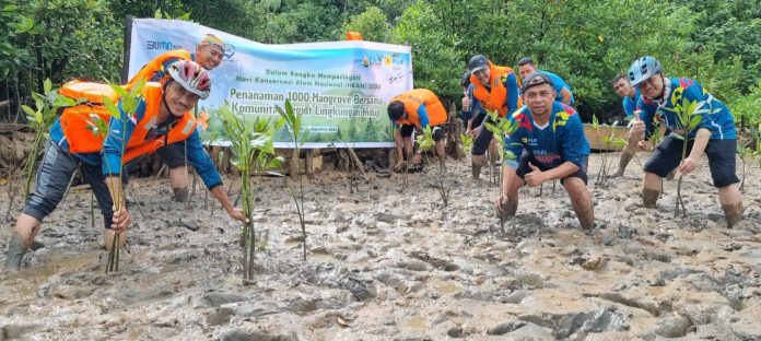 PT PLN Batam menanam 1.000 pohon mangrove bersama Forum Peduli Lingkungan Kota Batam dan Citra Mas dalam rangka peringatan Hari Konservasi Alam Nasional (HKAN) tahun 2024 di sekitar Kawasan Mangrove Nongsa, Sabtu (10/8/2024). (Humas BP Batam)
