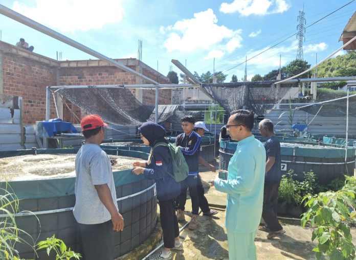Sekretaris Komisi II DPRD Provinsi Kepulauan Riau Kepri, Wahyu Wahyudin meminta pemerintah pusat dan daerah fokus mendukung peningkatan produksi budidaya lobster. (IST)