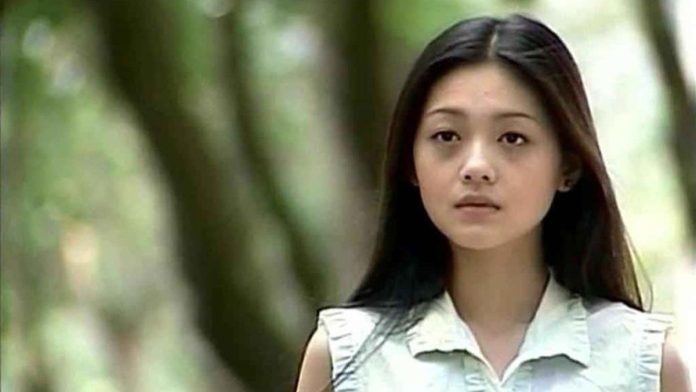 5 Rekomendasi Drama dan Film Barbie Hsu Selain Meteor Garden