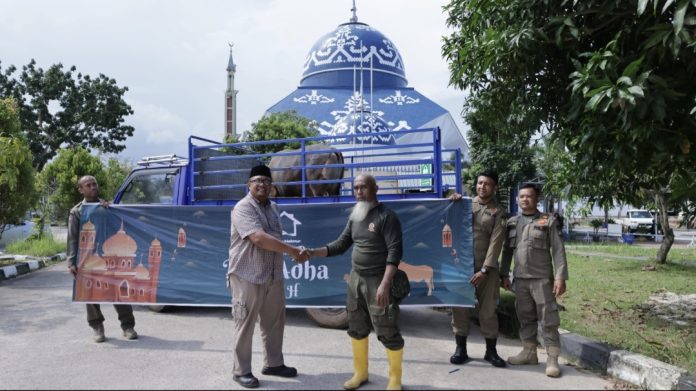 Panbil Group menunjukkan komitmennya dalam berbagi kebahagiaan dengan mendistribusikan hewan kurban kepada masyarakat Batam. (Istimewa)