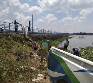 Isna bersama rekannya tengah mengambil eceng gondok di salah satu waduk di Kota Batam. (Istimewa)