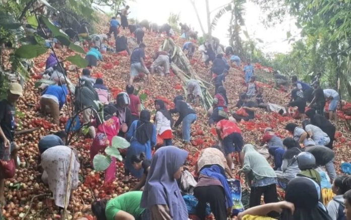 Kepala Dinas Kesehatan Kota Batam, Didi Kusmarjadi, memberikan peringatan apabila mengkonsumsi bawang secara berlebih. (Istimewa)