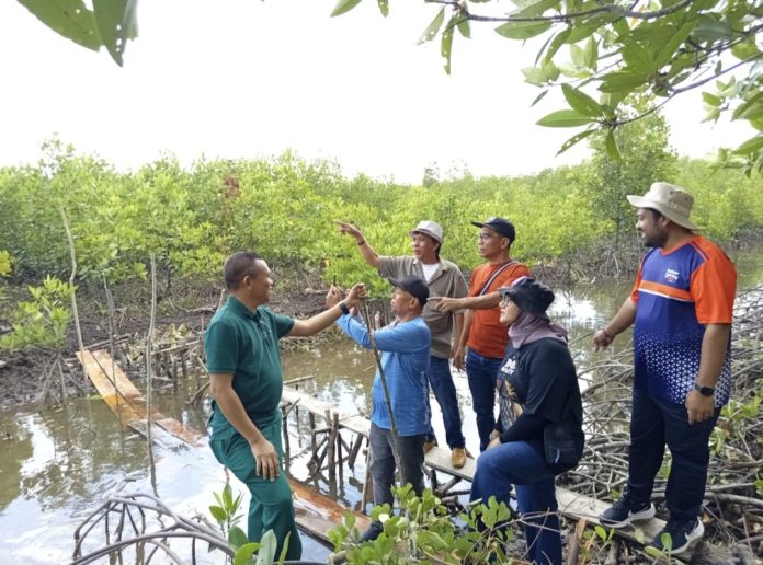 Sehari menjelang aksi penanaman mangrove KJK Kepri meninjau kawasan Sungai Tiram, Desa Penaga, Kabupaten Bintan, Kepri Sabtu (7/2/2026). (Istimewa)