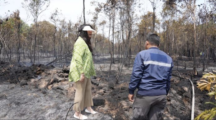 Anggota/Deputi Bidang Pelayanan Umum BP Batam, Ariastuty Sirait meninjau lokasi kebakaran hutan lindung di kawasan Waduk Nongsa, Jumat (27/3/2026). (Humas BP Batam)