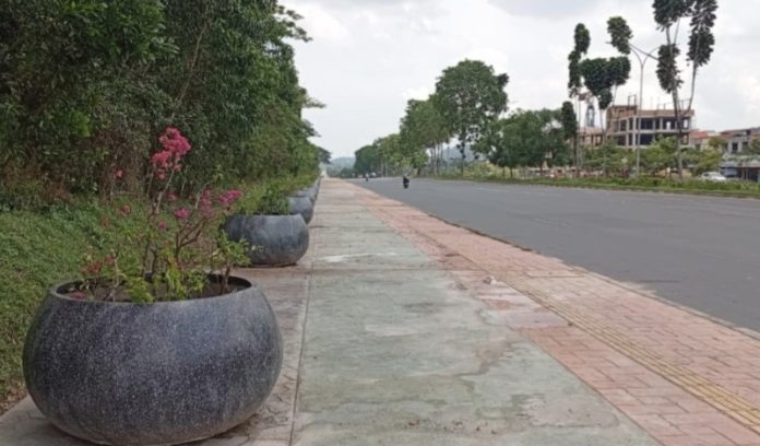 Wakil Wali Kota Batam sekaligus Wakil Kepala BP Batam, Li Claudia Chandra, menjelaskan bahwa penggunaan pot dipilih agar penataan taman kota lebih rapi dan mudah disesuaikan. (uly)