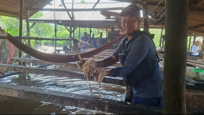 Pengelola pabrik sagu di Panggak Laut, Sofyan, menceritakan proses pengolahan sagu, Selasa (11/8/2026). (uly)
